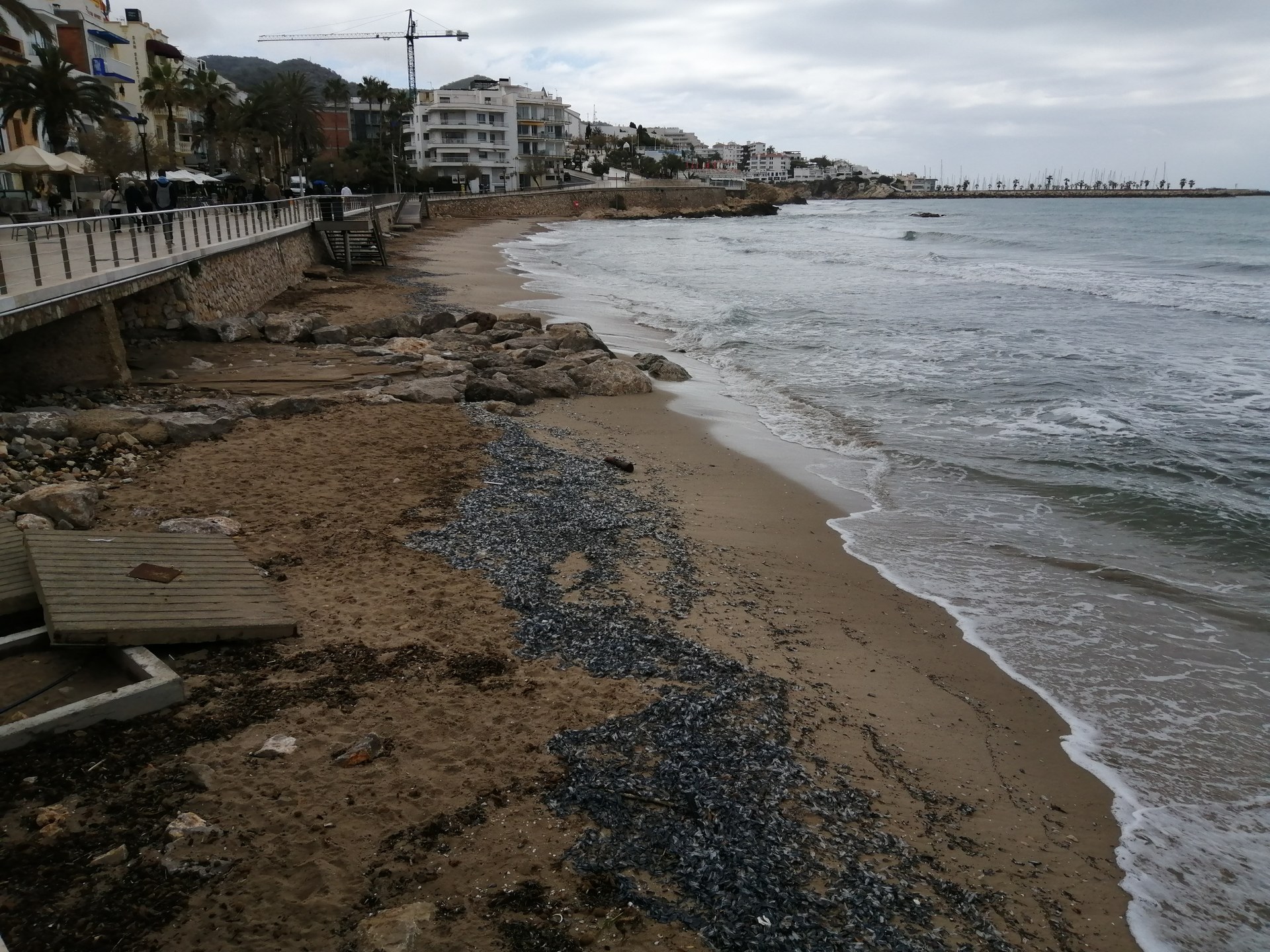 El Ministeri de Transició ecològica inclou Sitges en les actuacions d’emergència arran dels darrers temporals