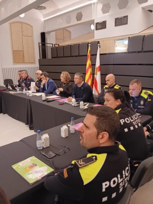 Junta Local de Seguretat