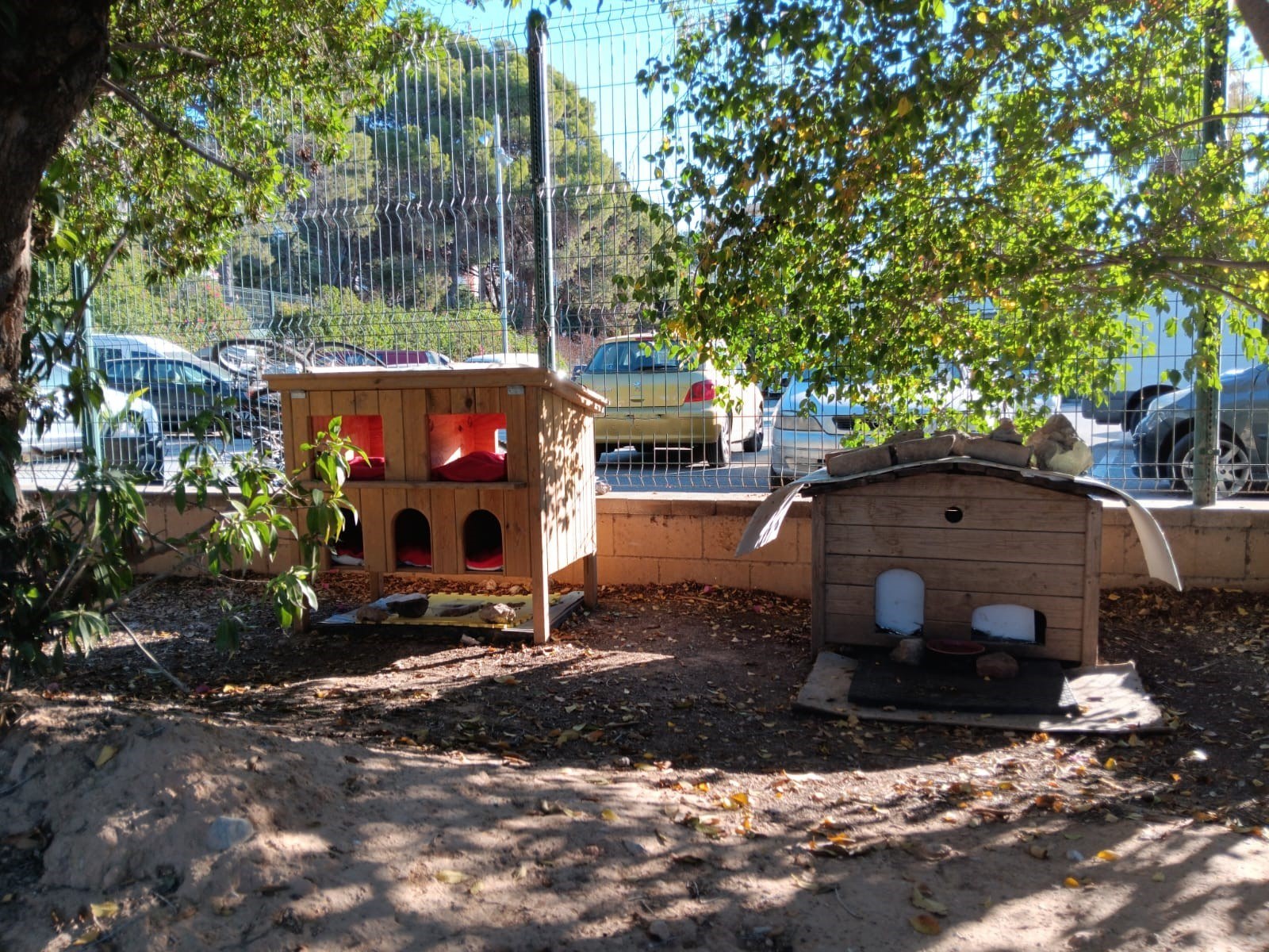 El Pla de gestió de colònies felines regula les 52 comunitats i 956 gats a Sitges