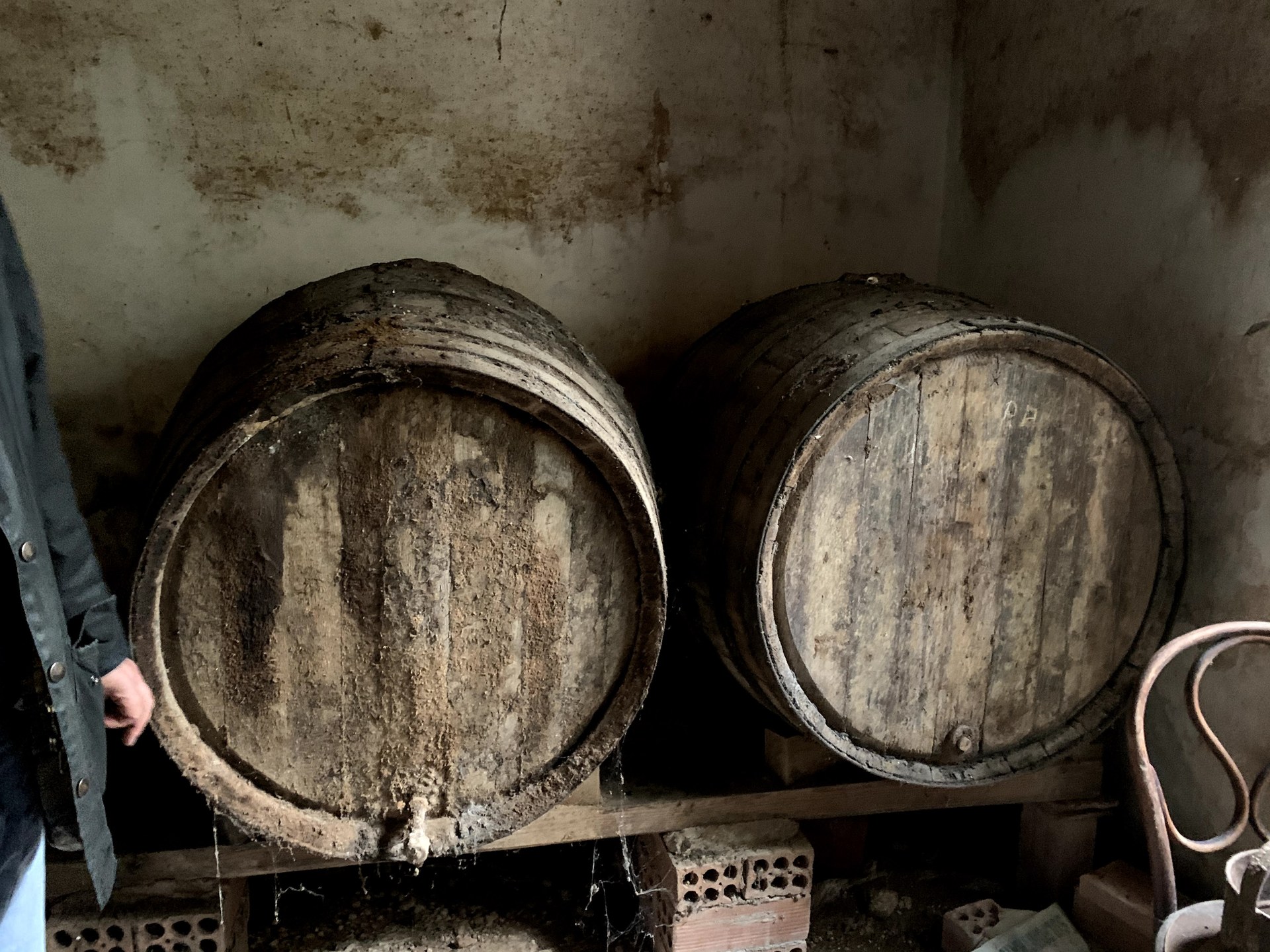 El Centre d’Interpretació de la Malvasia engrandeix el seu discurs amb una donació de la família Font i Llopart