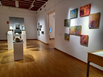 Exposició Aiguacuit- inauguració- 3 agost 2024 (30).jpeg