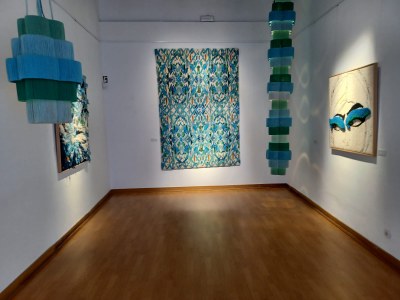 Exposició Aiguacuit- inauguració- 3 agost 2024 (obres).jpeg