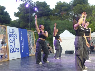 Jopil Ribes Dansa 2.JPG
