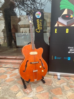 guitarra tenor.jpeg