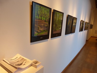 expo fotogràfica.jpeg