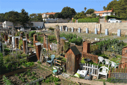 El projecte dels Horts dels Avis creix amb 12 parcel·les noves a Santa Bàrbara