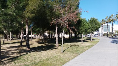 zona enjardinada entre el passeig de Vilafranca i el carrer de Jacint Picas i Cardó .jpeg