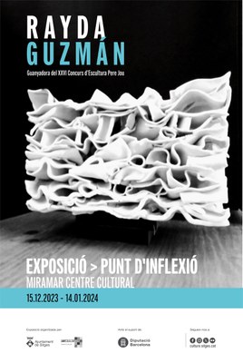 cartell Rayda Guzmán .jpg