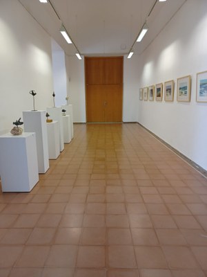 Expo Rosa Gallach (Pla general) .jpeg