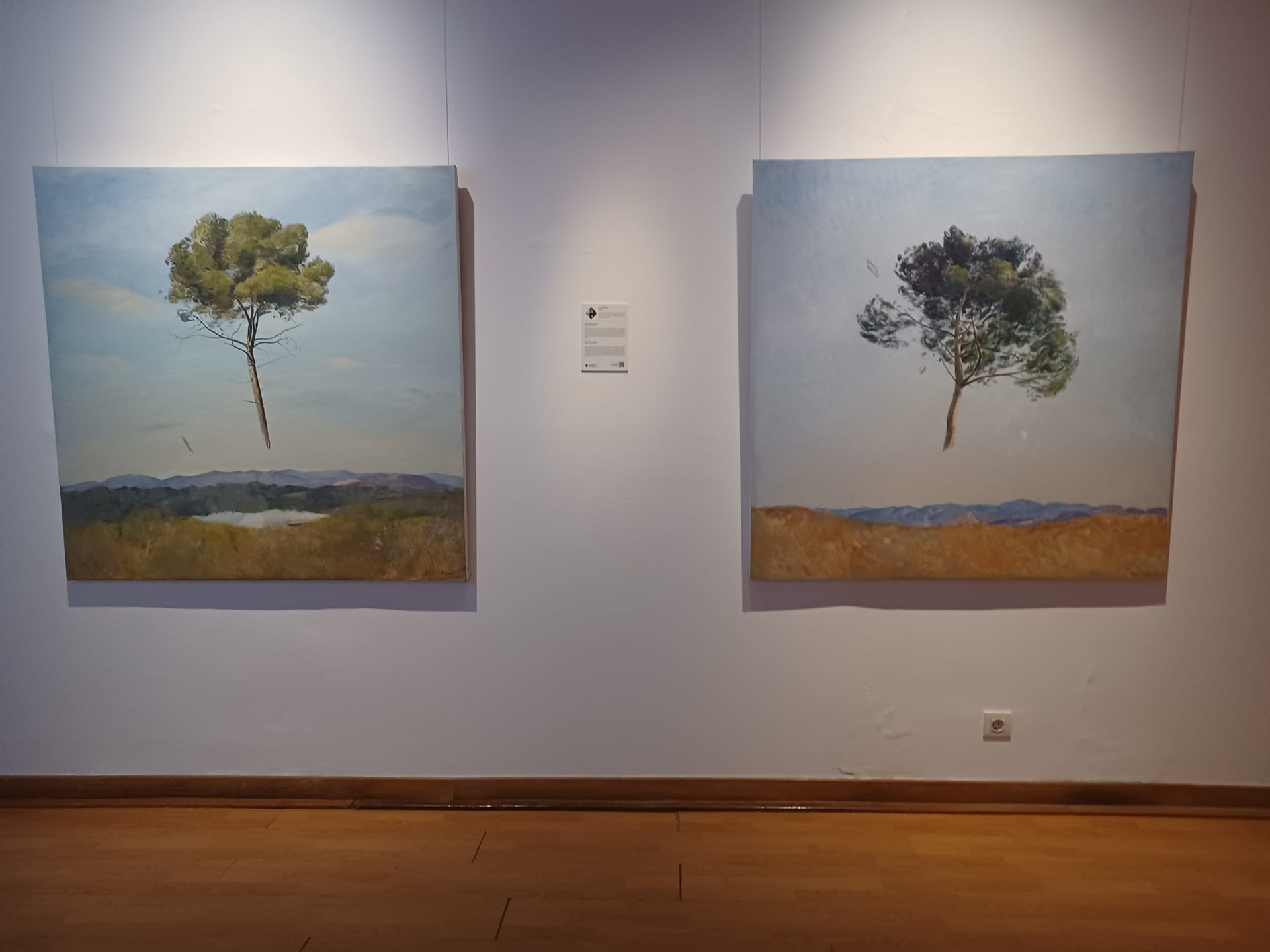L’Exposició Artistes per la Pau-18 visions inspira a construir llibertat i esperança