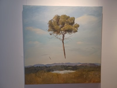 Expo Artistes per la Pau  (arbre).jpeg