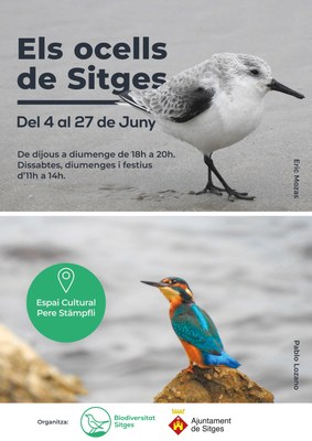 cartell Expo 'Els ocells de Sitges'.jpg