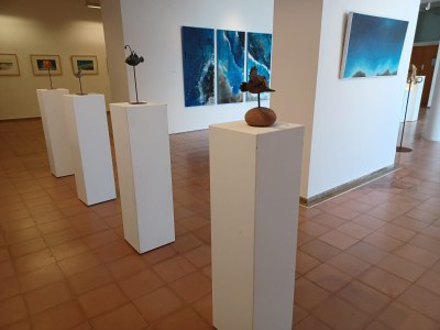 exposició (pla sala).jpeg
