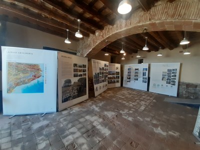 Exposició 50 .jpg
