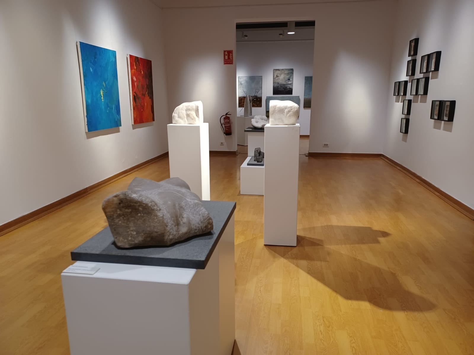 Les arts plàstiques protagonitzen les noves exposicions al Miramar-Centre Cultural