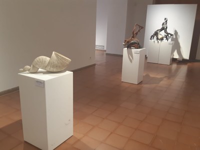 expo Stefano Dalle Vedove .jpeg