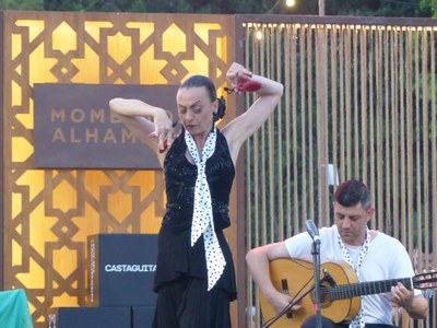Castaguitar 3.JPG