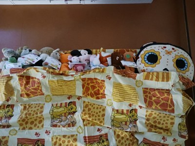 peluixos -dormir.jpeg
