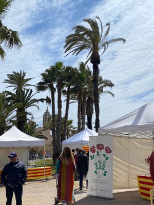 cartell fira i La Punta.jpeg