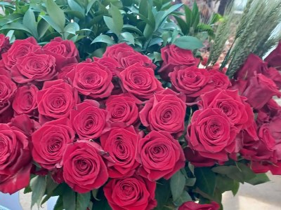 Roses.jpeg