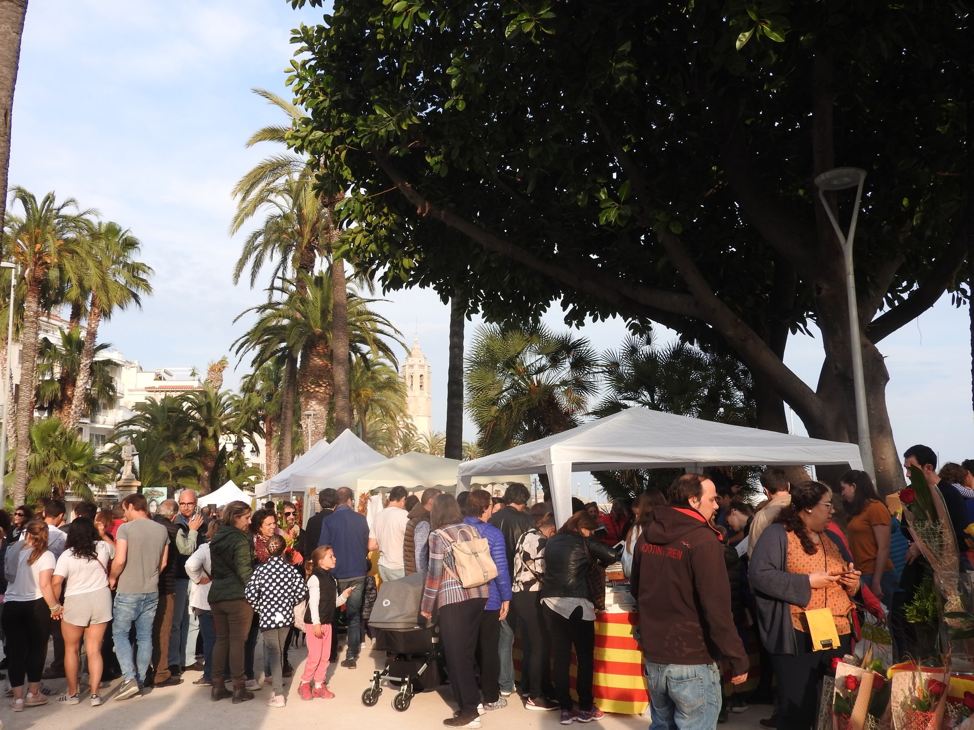 El Passeig de la Ribera s'omple de llibres i roses