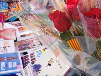 Roses i llibres .jpeg