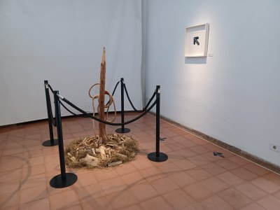 Expo Nia Bragg (obres).jpeg