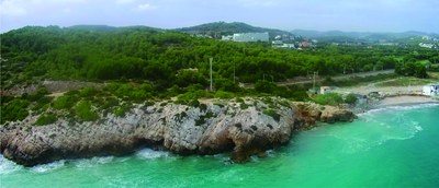 Cova del Gegant.jpg