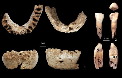 Figure 4_Human Remains.jpg
