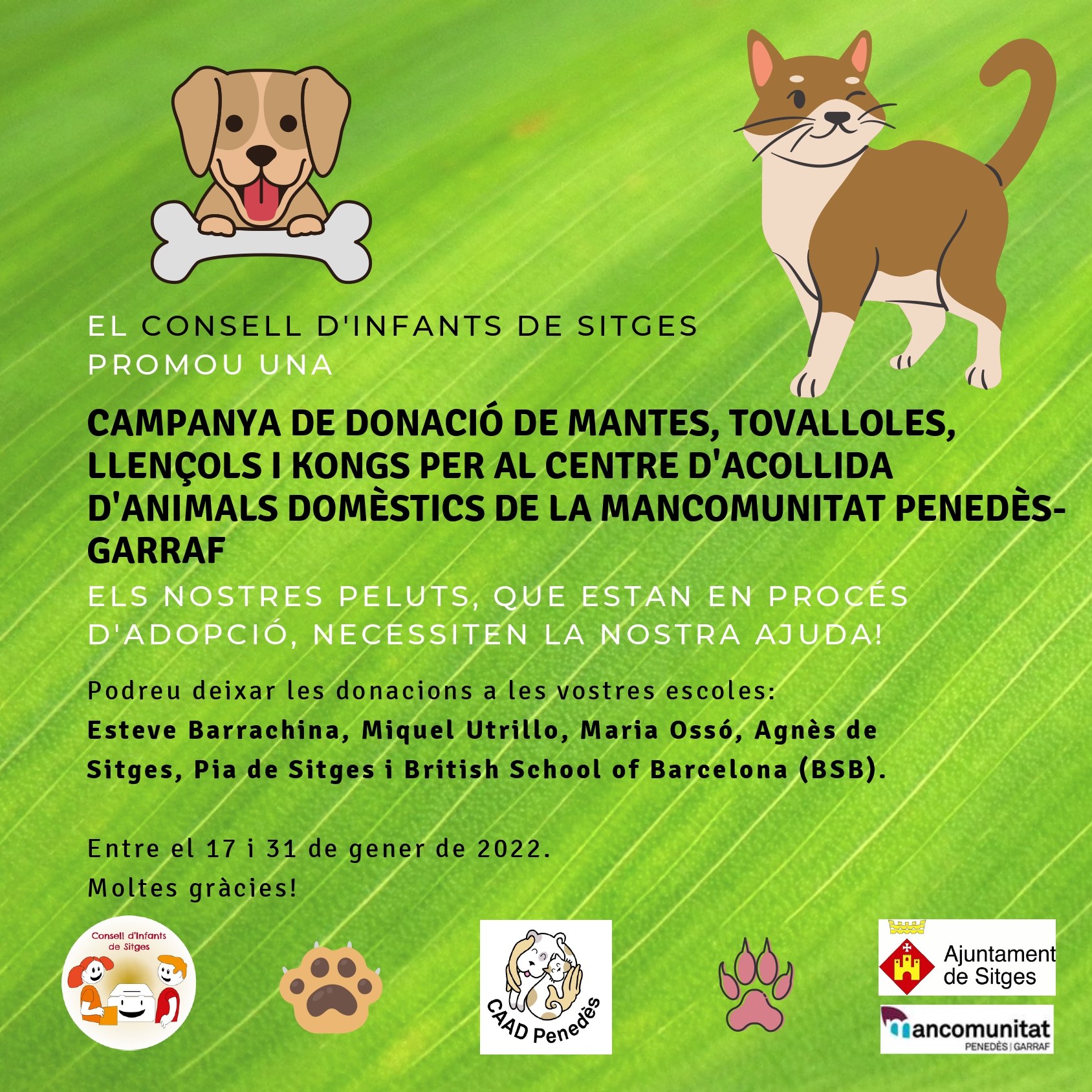 El Consell d’Infants impulsa una campanya de recollida de material per a animals domèstics
