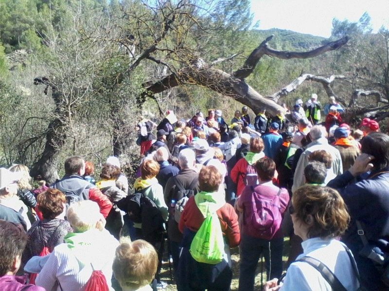 Prop de 200 persones de diferents municipis es reuniran a Sitges dijous per fer una caminada de marxa nòrdica