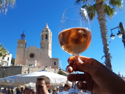 Mostra de Vins 1.jpg