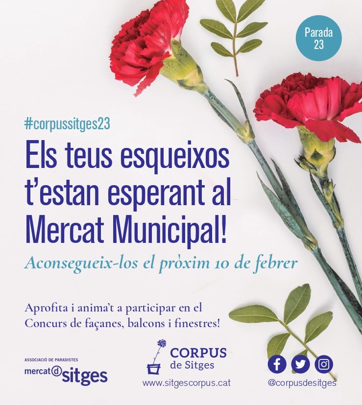 La Comissió de Corpus promou el cultiu del clavell amb una parada al Mercat Municipal