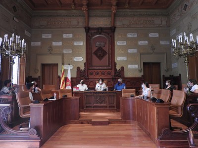 1r Consell d'adolescents -Saló de Plens .JPG