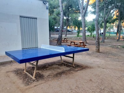 Espai JOve -taules de ping-pong i taules de pícnic.jpeg
