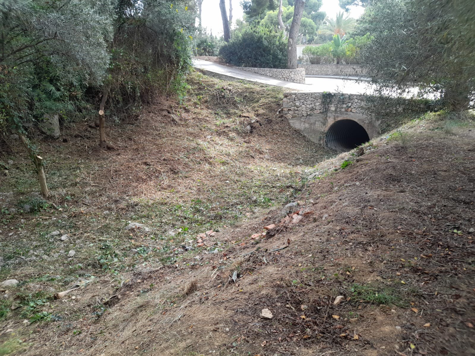 L’Ajuntament de Sitges restaura la riera de Vallbona