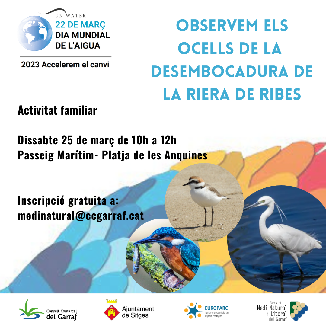 Sitges celebra el Dia Mundial de l’Aigua amb un taller familiar d’observació d’ocells a la riera de Ribes, aquest dissabte