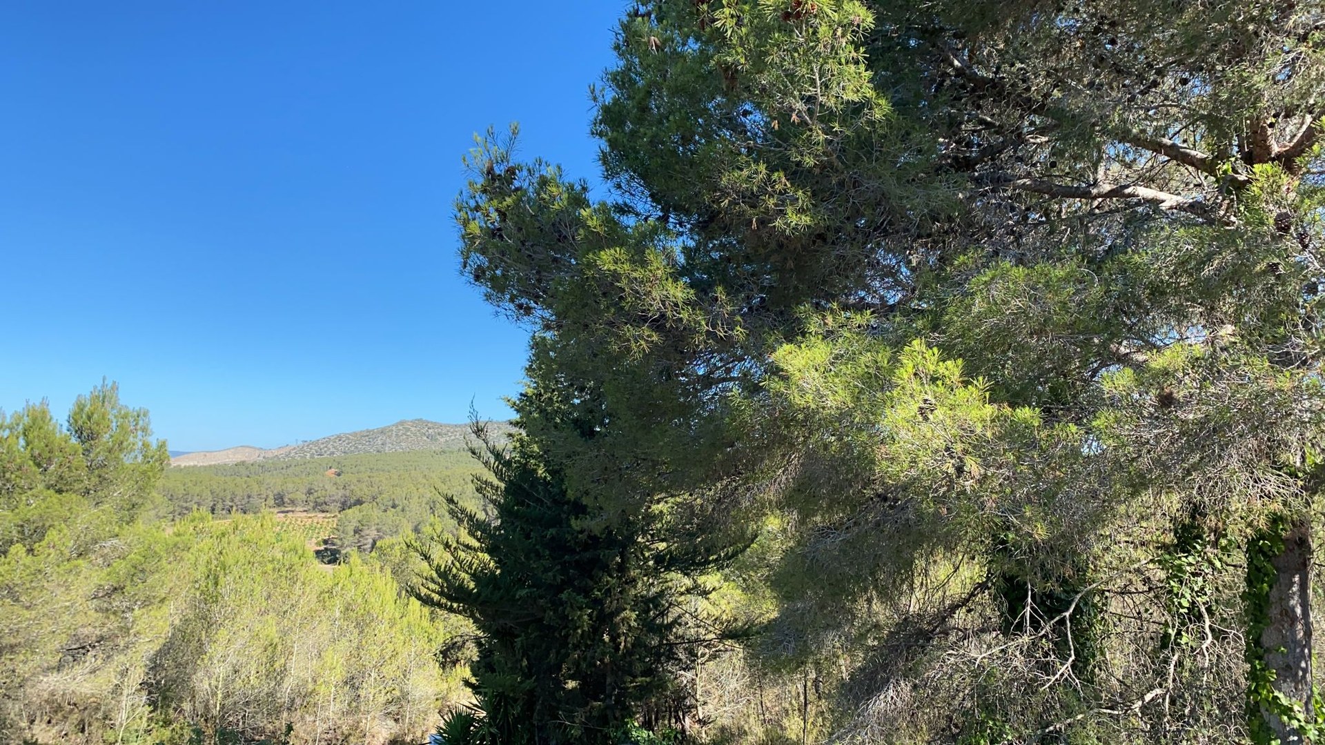 Sitges posa en marxa la campanya  de prevenció d’incendis