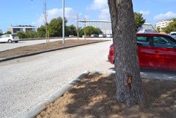 L'Ajuntament condiciona els terrenys annexes al pavelló de Pins Vens
