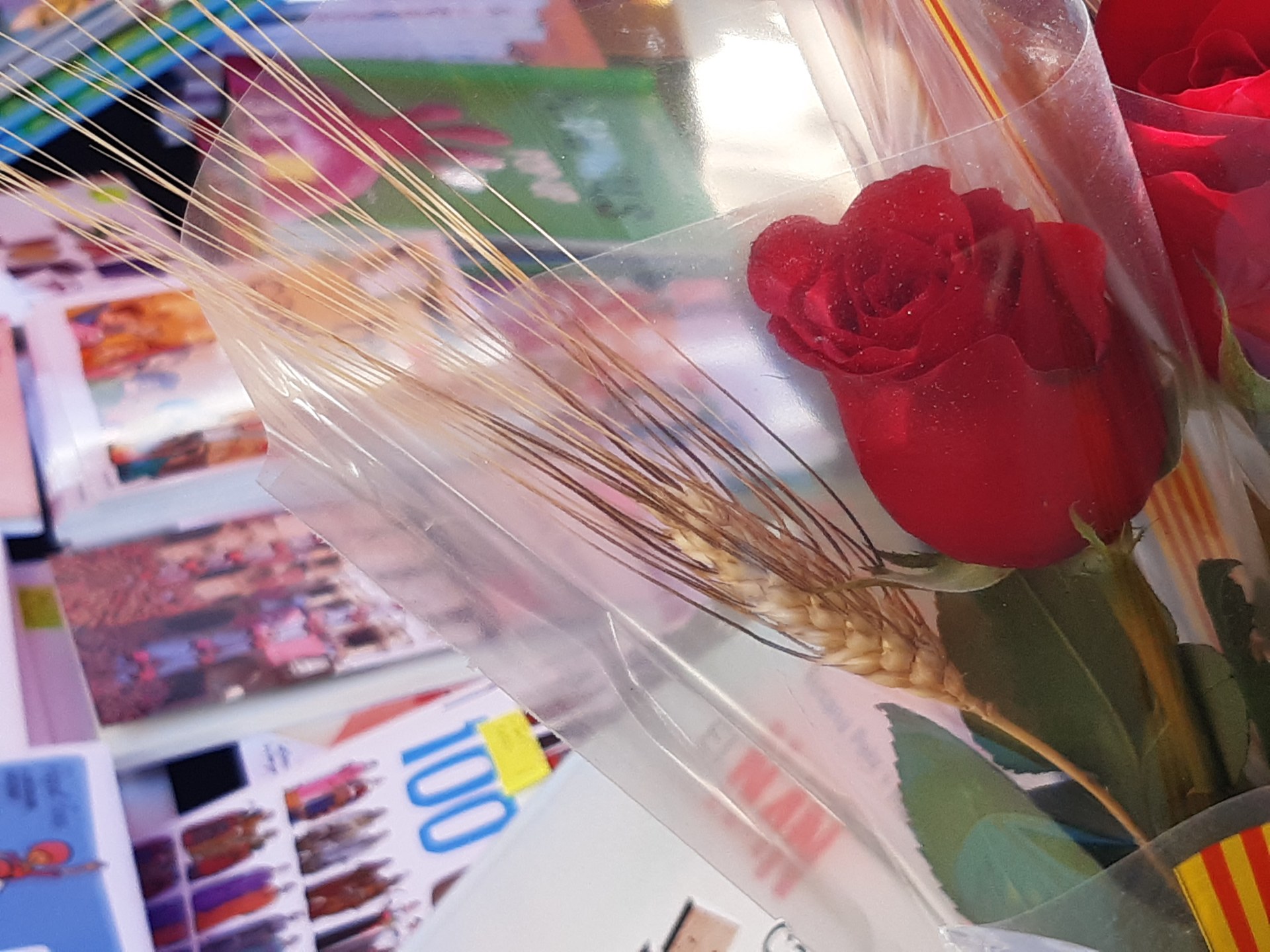 L’Ajuntament obre el termini per participar en la Fira de Sant Jordi 2023