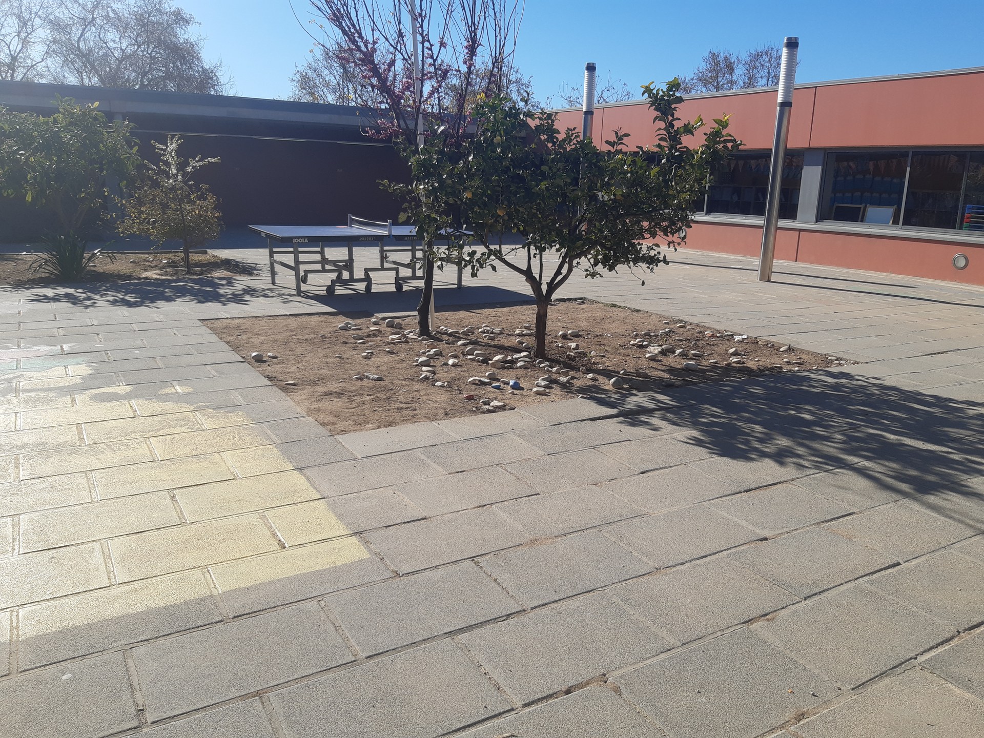 La Taula del verd urbà es reuneix per valorar el projecte de coberta verda a l’Escola Maria Ossó