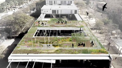 Escola Maria Ossó- render coberta verda.jpeg